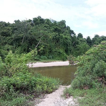 Cabana Wiwa Tayrona Los Naranjos Kültér fotó
