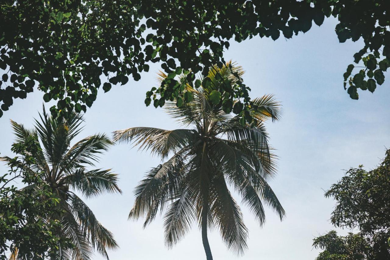 Cabana Wiwa Tayrona Los Naranjos Kültér fotó