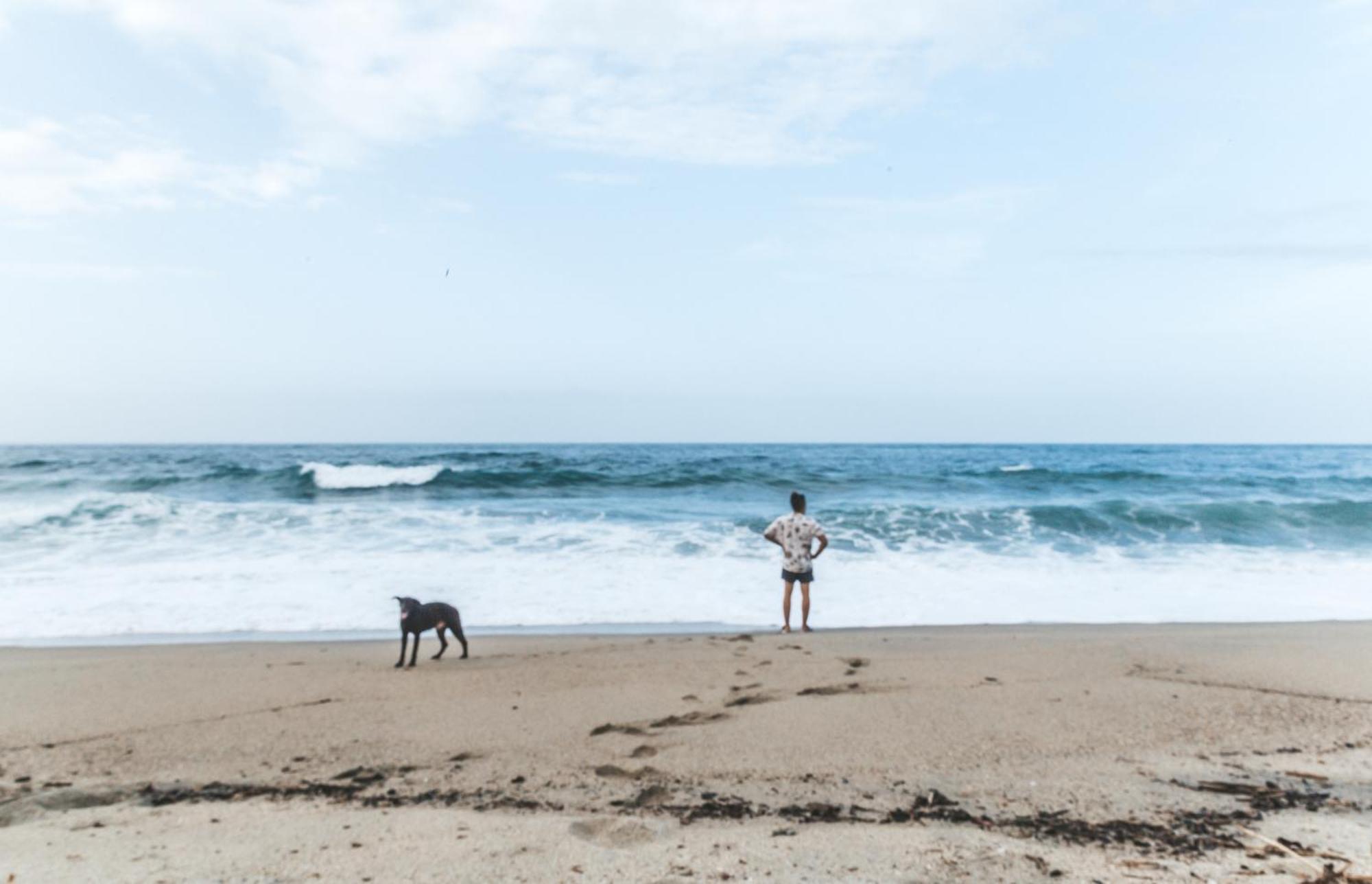 Cabana Wiwa Tayrona Los Naranjos Kültér fotó