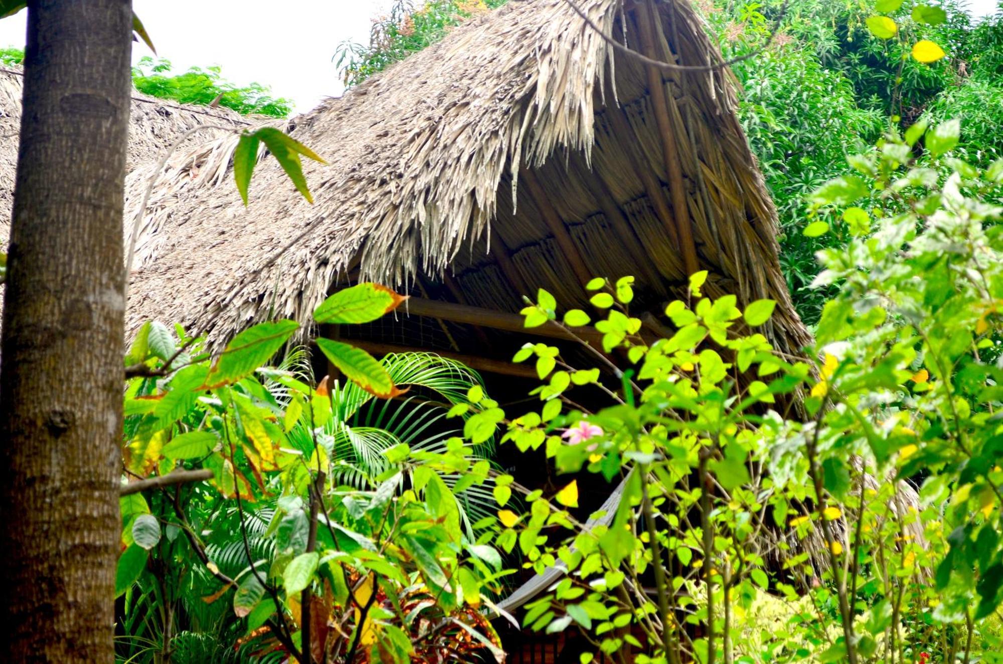 Cabana Wiwa Tayrona Los Naranjos Kültér fotó
