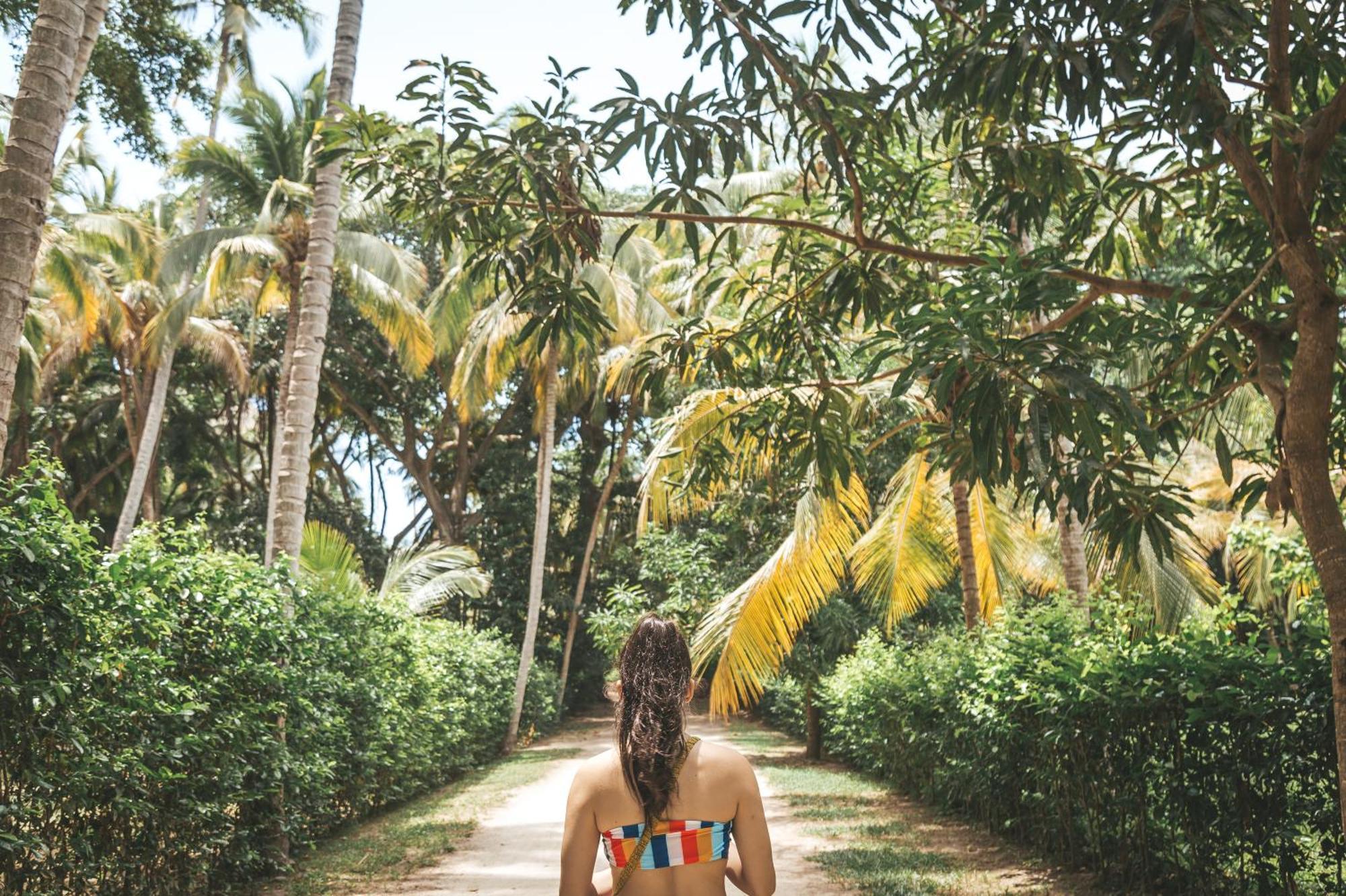 Cabana Wiwa Tayrona Los Naranjos Kültér fotó