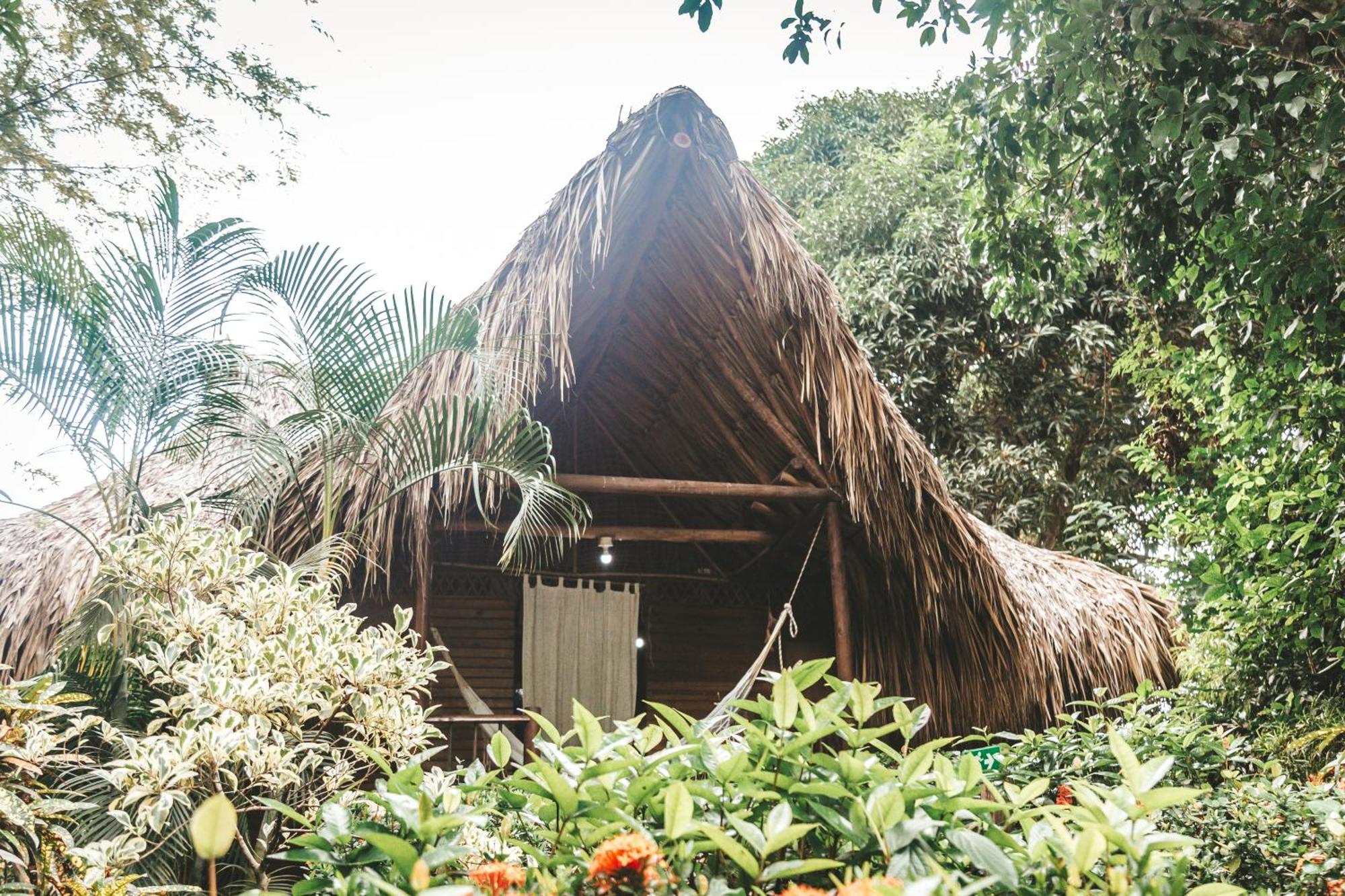 Cabana Wiwa Tayrona Los Naranjos Kültér fotó