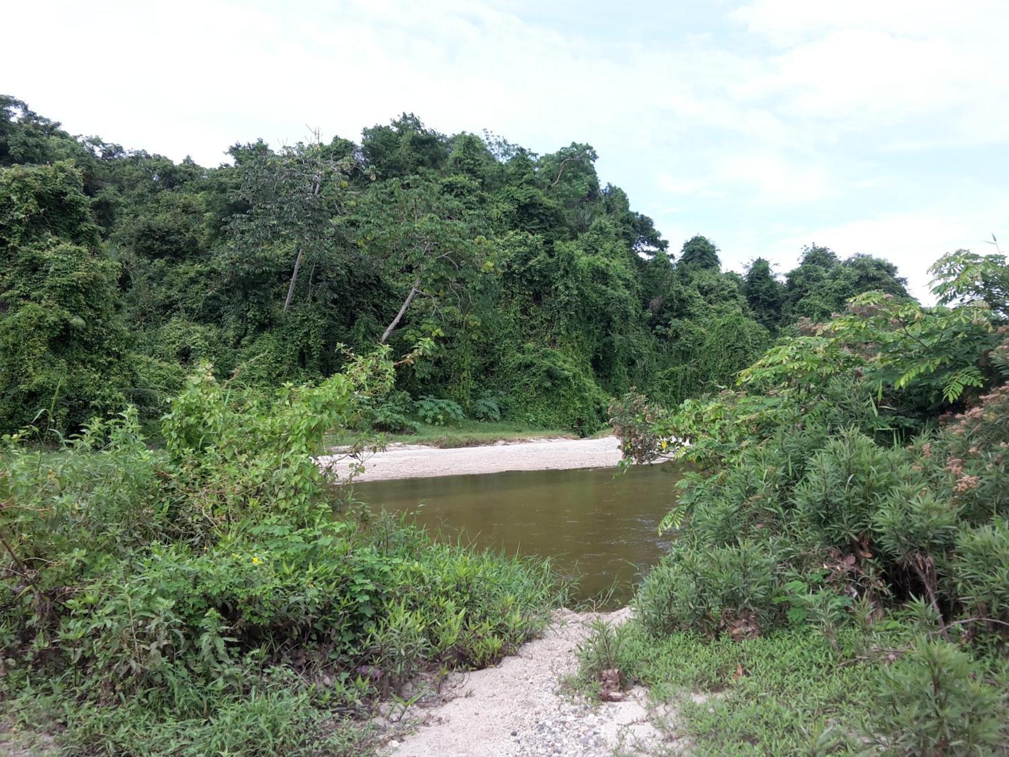 Cabana Wiwa Tayrona Los Naranjos Kültér fotó