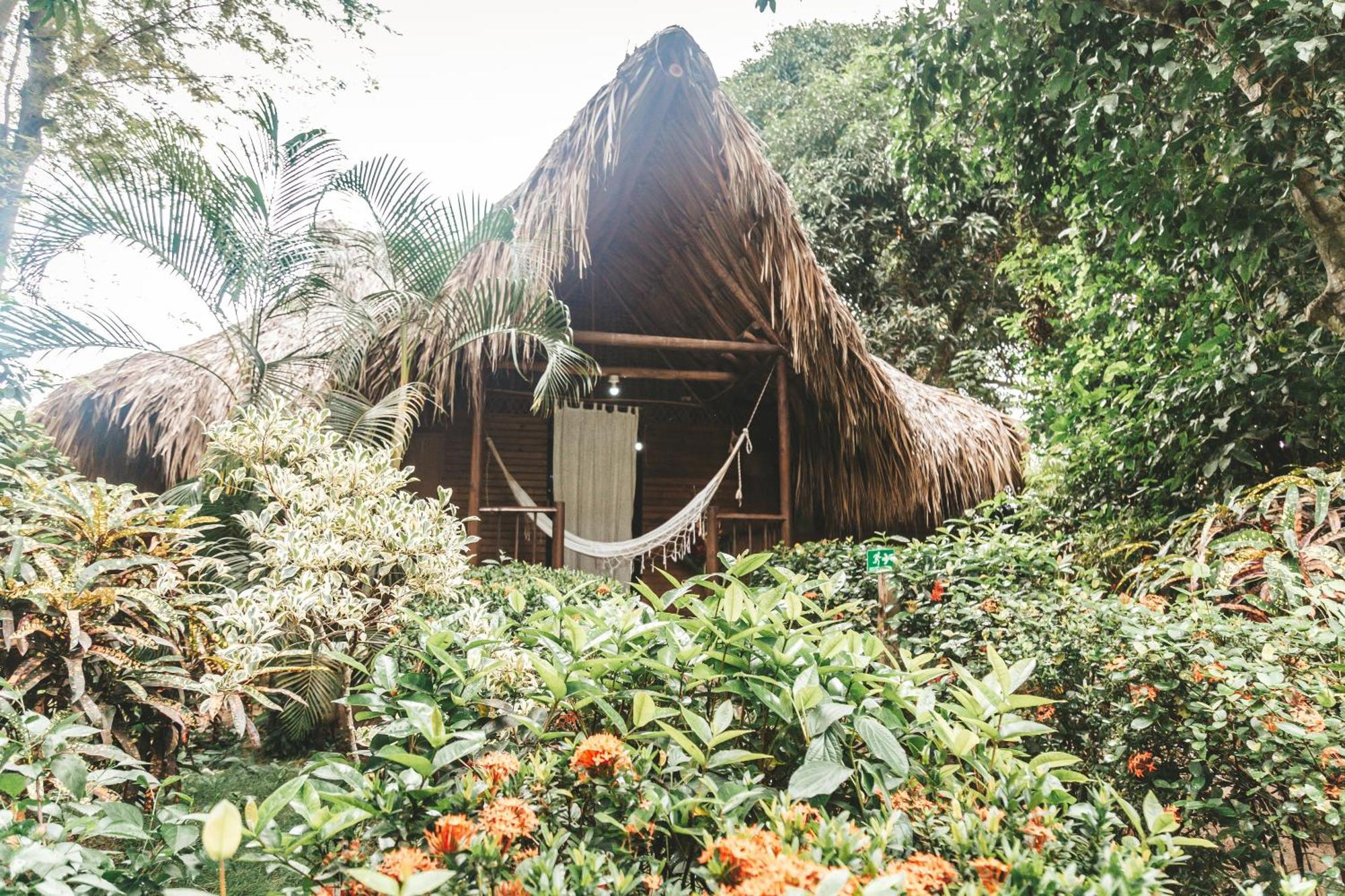 Cabana Wiwa Tayrona Los Naranjos Kültér fotó